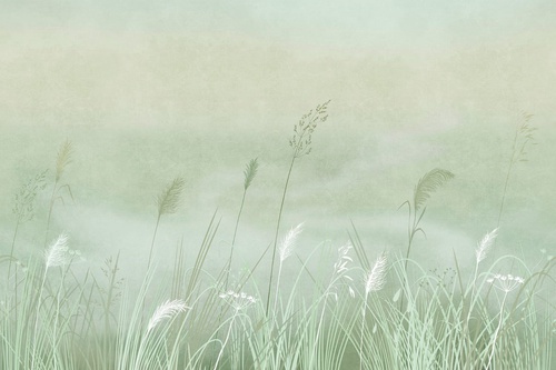 современные, колосья, зеленая