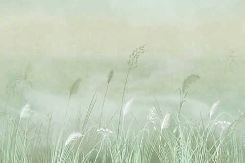 современные, колосья, зеленая