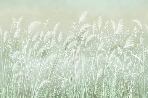 современные, колосья, светло зеленая, белые
