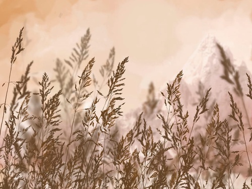 современные, колосья, темно коричневые