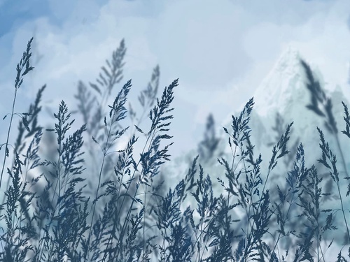 современные, колосья, темно синие