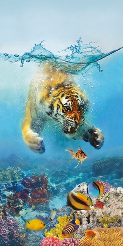 в детскую комнату, тигр, подводный мир