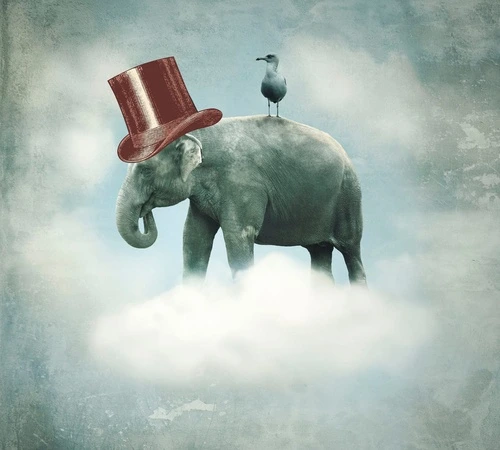 в цирк, слон, в цилиндре, слон в цилиндре