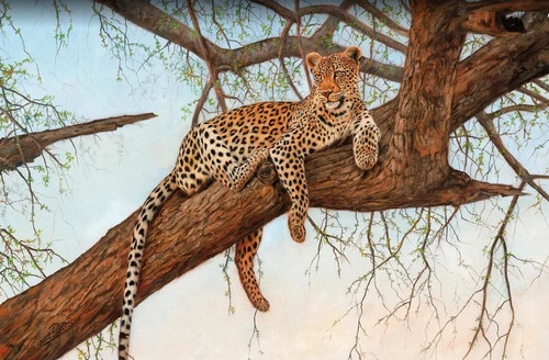 в загородный дом, пантера, на дереве