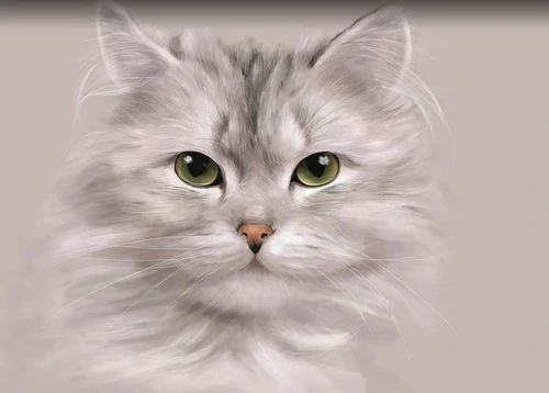 в детскую комнату, котик, светло серый