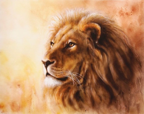 в зоопарк, лев, коричнево-оранжевая