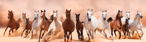 в офис, в кабинет, лошади, горизонтальная