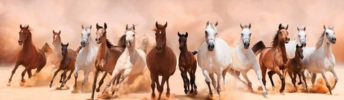 в офис, в кабинет, лошади, горизонтальная