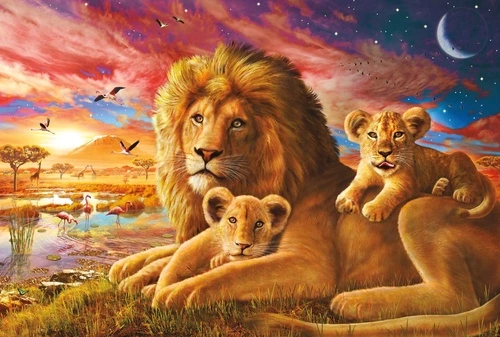 львы, оранжевая, семья львов