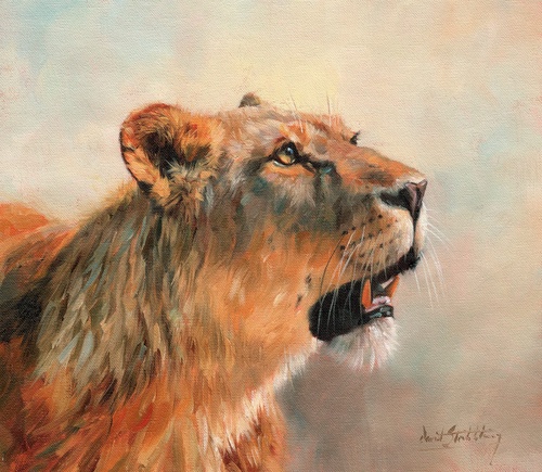 живопись, львица, крупно