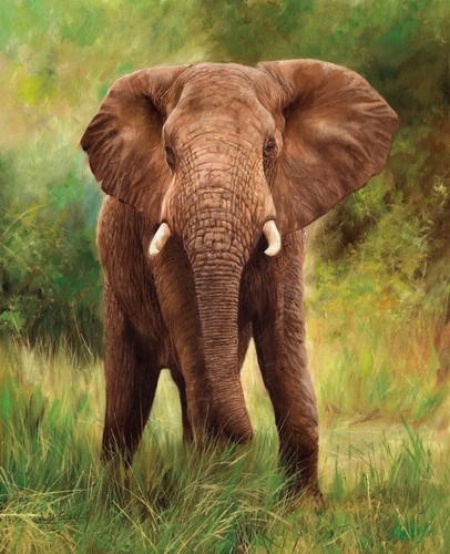 живопись, слон, коричневый