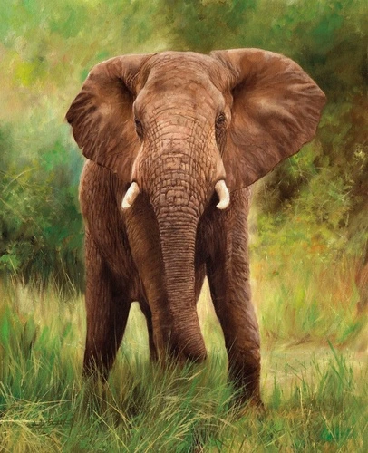 живопись, слон, коричневый