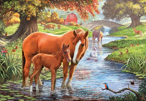 в офис, в кабинет, лошадь, жеребенок, в реке