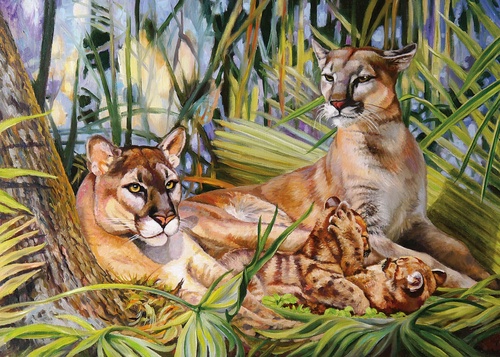 живопись, пумы