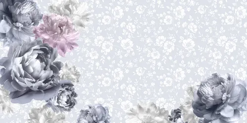 белые, растения, серые, цветы, розовые, пионы