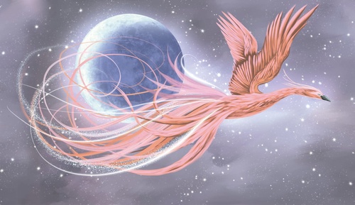 в детскую комнату, жар птица, коралловая