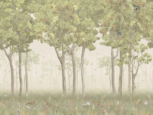 в коридор, лес, деревья, птицы