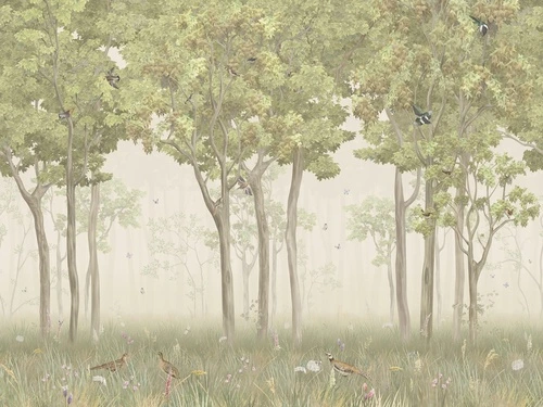 в коридор, лес, деревья, птицы