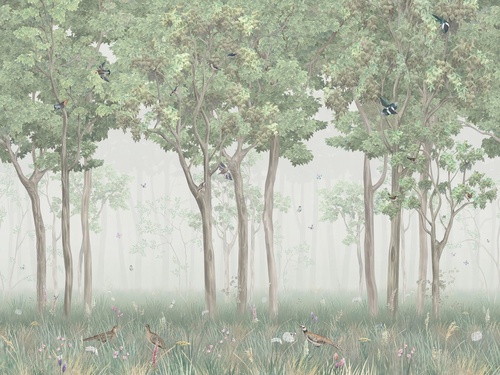 в коридор, лес, деревья, птицы, зеленая