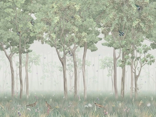 в коридор, лес, деревья, птицы, зеленая