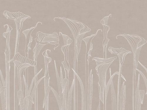 графика, линии, бежевые, каллы