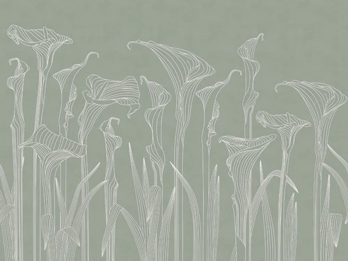 графика, белые линии, каллы, серо-зеленая