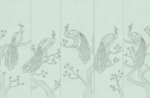 графика, павлины, серые линии, светло зеленая, салатовая