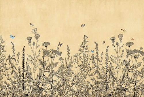 в загородный дом, графика, полевые цветы, песочная, желтая