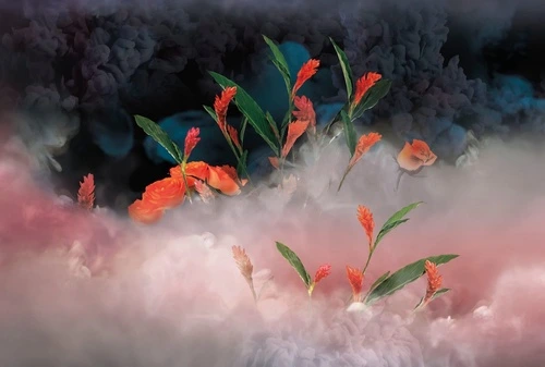 цветы, бело-зеленая, красные бутоны