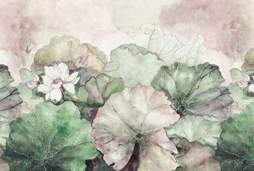 цветы, листья, кувшинки, зеленая