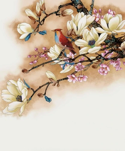 цветы, магнолии, ветки, на белом фоне