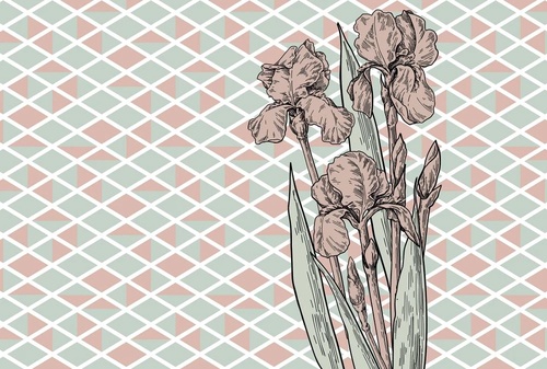 геометрия, ромбы, ирисы