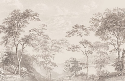 пейзаж, лес, природа, серый лес, красивые обои лес, в спальню, спальни лес, на стену лес