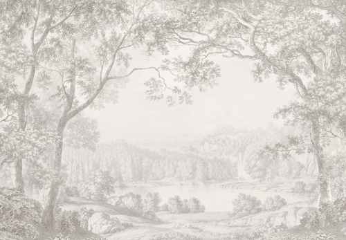 пейзаж, черно-белые, деревья, серый лес, в спальню, красивый лес, природа, лес на стену