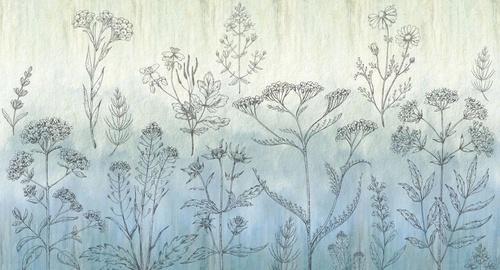 в ванную комнату, графика, полевые цветы, светло голубая