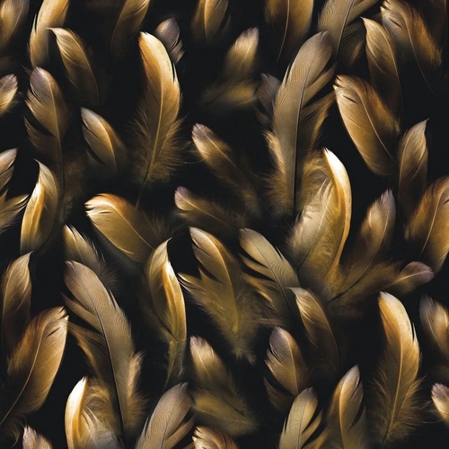 молодежные, перья, черно-золотые