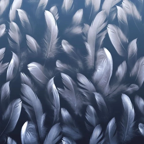 молодежные, перья, темно синие, квадратные