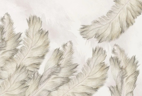 молодежные, графика, перья, бежевые