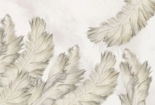 молодежные, графика, перья, бежевые