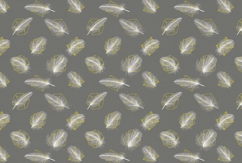 молодежные, перья, на темно сером фоне