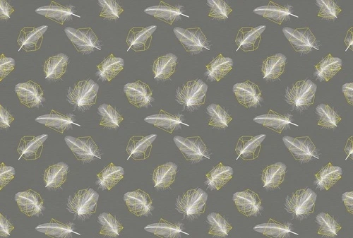 молодежные, перья, на темно сером фоне