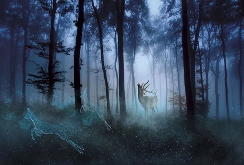 в офис, ночной лес, олень