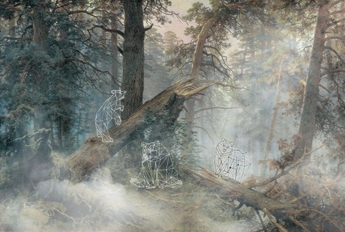 в офис, сосновый бор, в лесу, медвежата