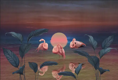 фламинго, розовый фламинго, вода, птицы, закат