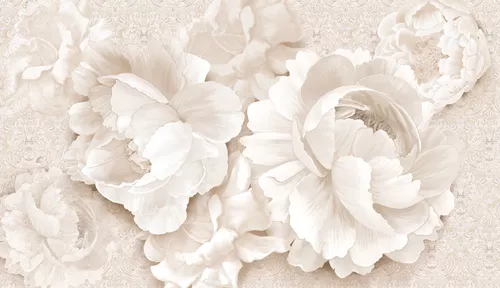 пионы, цветы, узор, белые, лепестки, бежевые