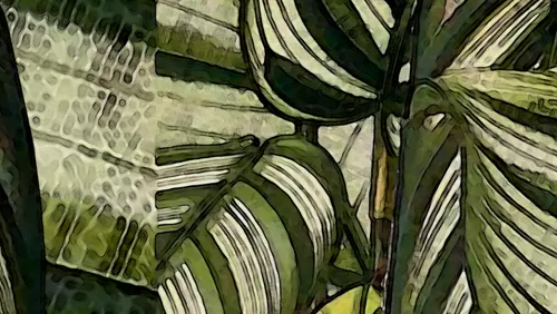 листья, мозаика, зеленые, белые, пазл, аглаонема, абстракция, размытие