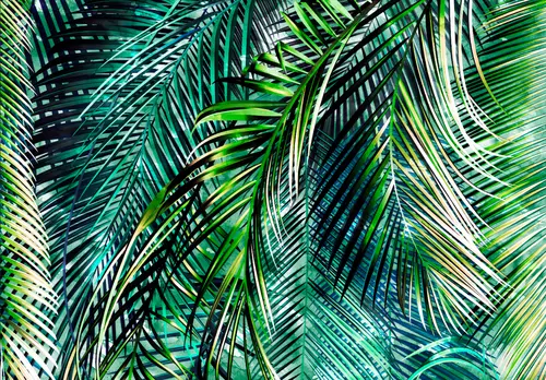 пальма, яркий, пальмовые листья, тропические листья, листья