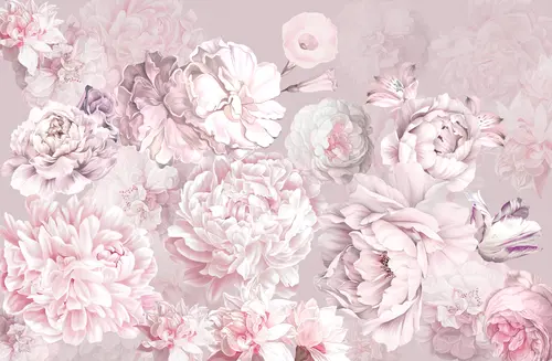 растения, цветы, листья, розы, пионы, нежность, лепестки