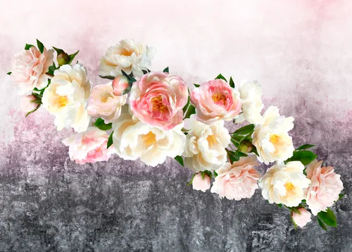 цветы, розовые, градиент, белые, розы, листья, серые