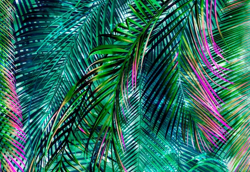 яркий, пальмовые листья, пальма, листья, тропические листья